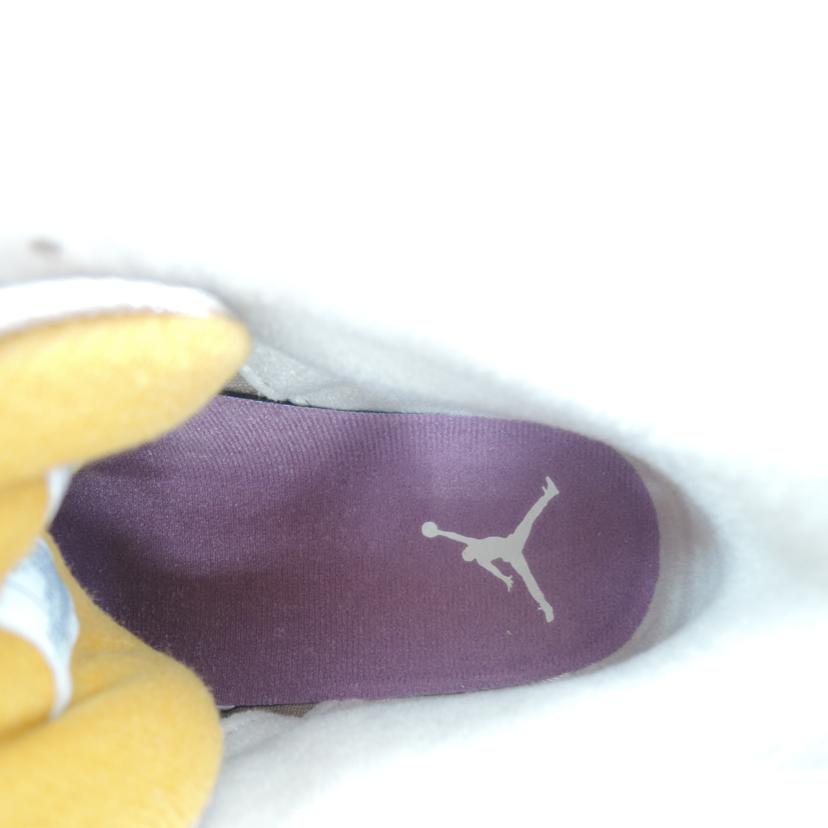 NIKE ナイキ/AIR JORDAN3 RETRO SE Archaeo Brown/DR8869-200//Aランク/06