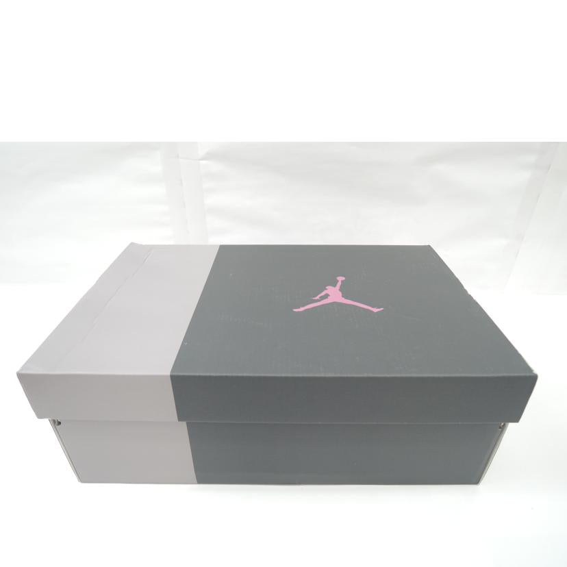 NIKE ナイキ/AIR JORDAN3 RETRO SE Archaeo Brown/DR8869-200//Aランク/06