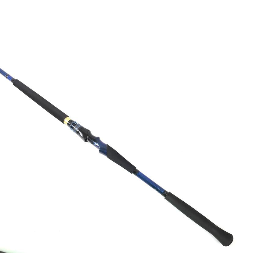 DAIWA ダイワ/ロッド 極鋭中深場/HH-205//SAランク/65