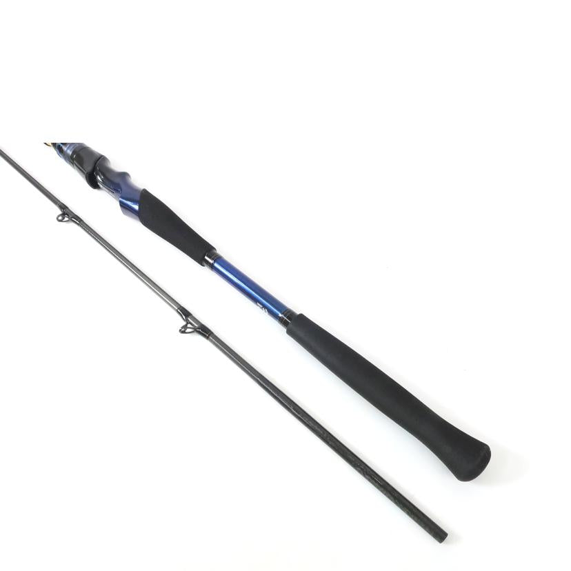 DAIWA ダイワ/ロッド 極鋭中深場/HH-205//SAランク/65