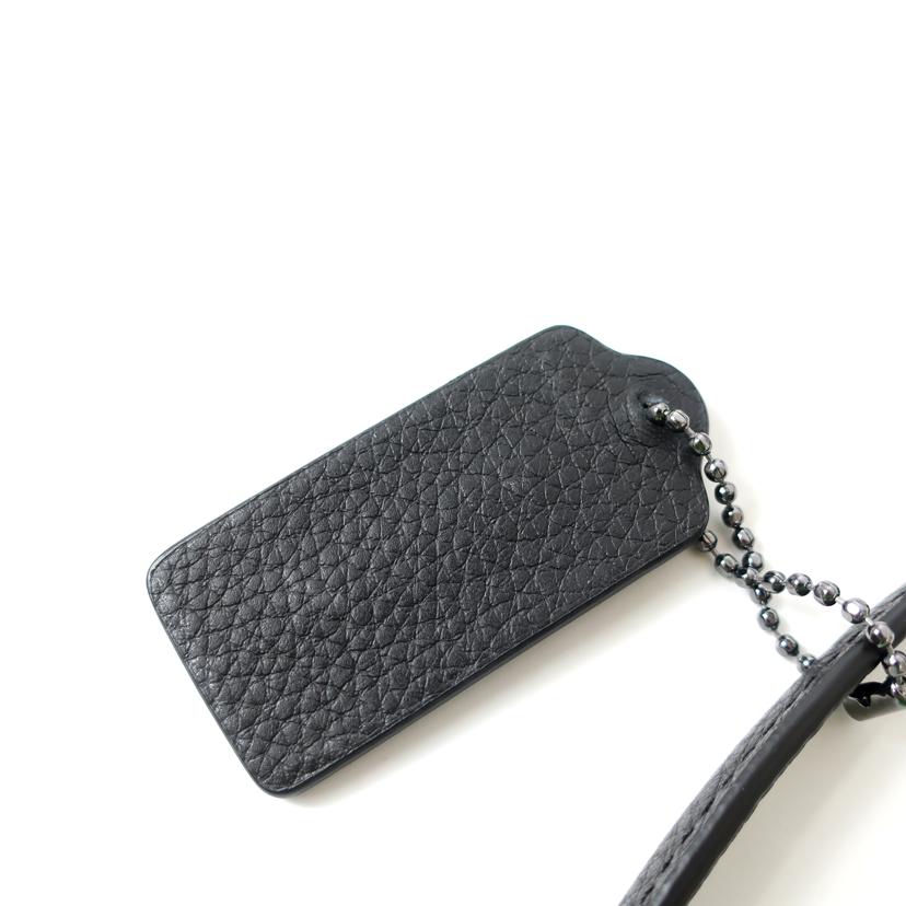 COACH コーチ/ハドソンフォーンランヤードシグネチャーショルダー ミニショルダーバッグ/CB911//E2224/Aランク/65