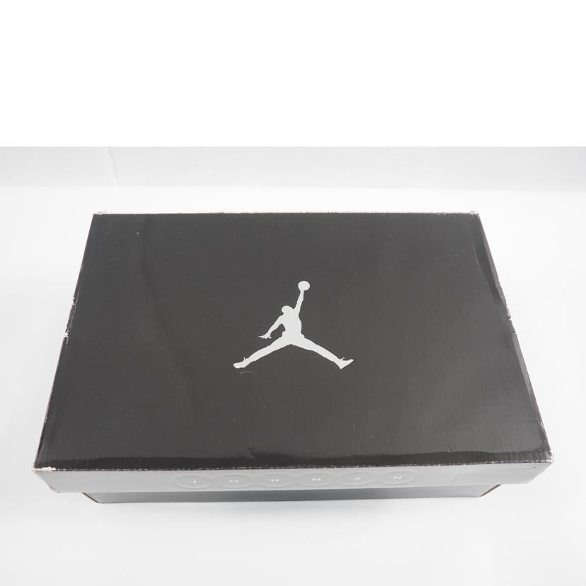 NIKE ナイキ/AIR JORDAN 1/325514-102//SAランク/79