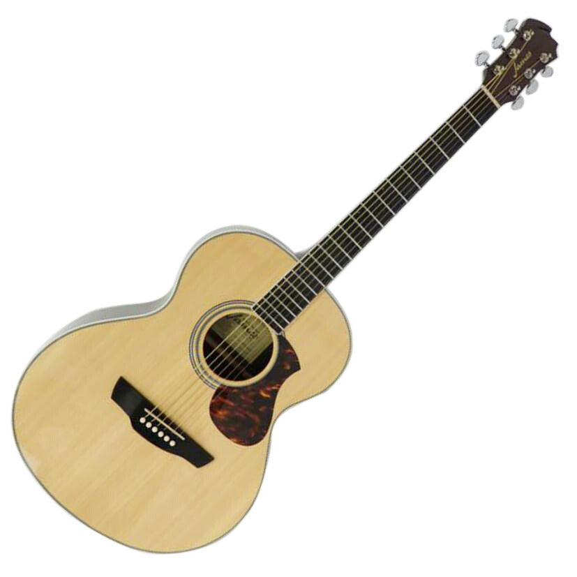 アコースティックギター James J-500ANAT - 楽器/器材
