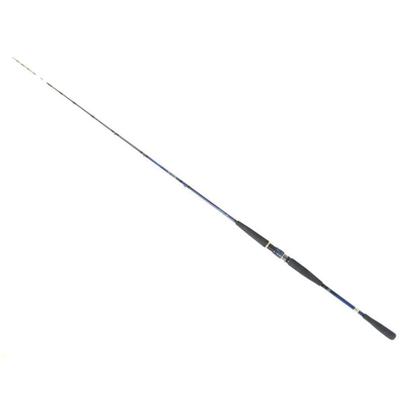 DAIWA ダイワ/ロッド 極鋭 コンセプトゲーム 2021年モデル/F MH-160AGS//ABランク/65