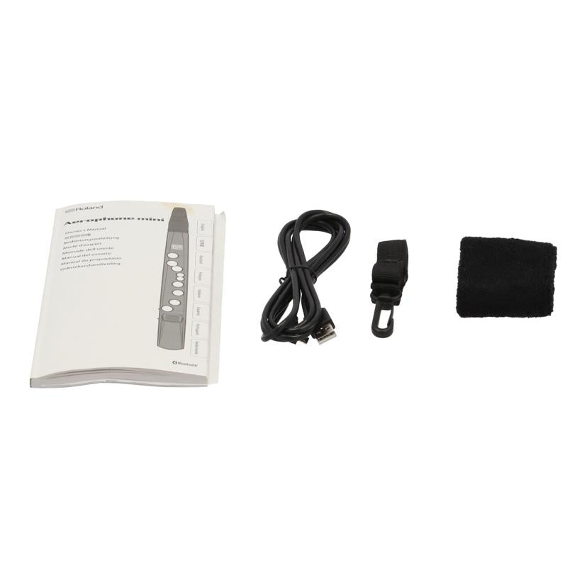 Roland ローランド/エアロフォン mini/AE-01//A5M9250/Bランク/05