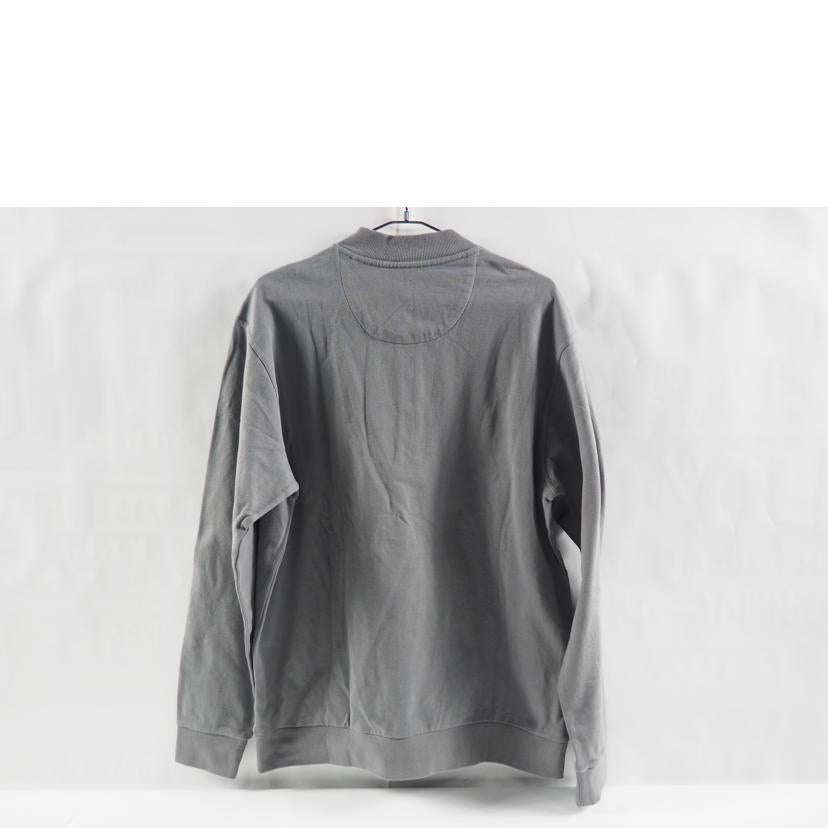 patagonia パタゴニア/ライトウェイト シンチラ スナップT プルオーバー/26350SP21//SAランク/79