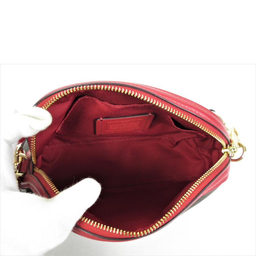 COACH コーチ/シグネチャー ドームクロスボディ/F76674//M1980/Aランク/70