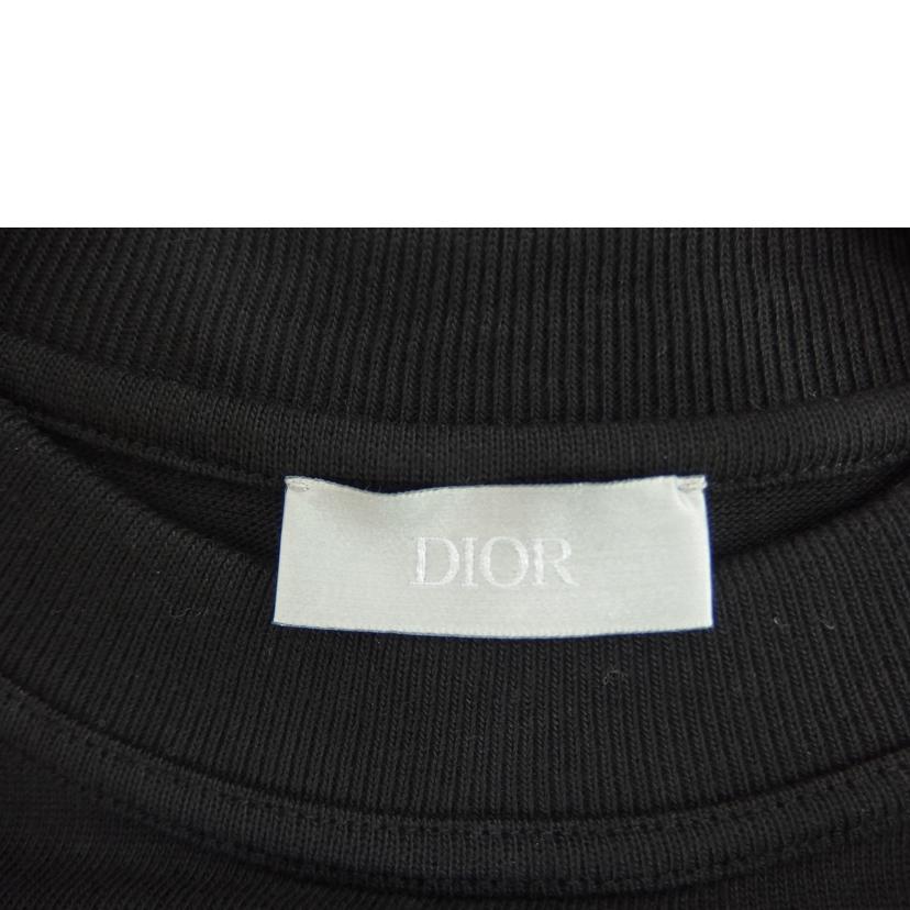 Dior×RAYMOND PETTIBON/クルーネックTシャツ/シルクパッチ/943J609G0554//SAランク/82