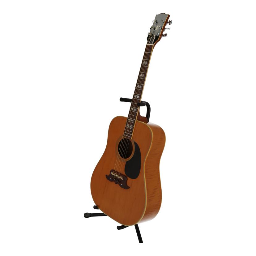 Thumb  サム 寺田楽器/アコースティックギター/W-250//710074/Cランク/70