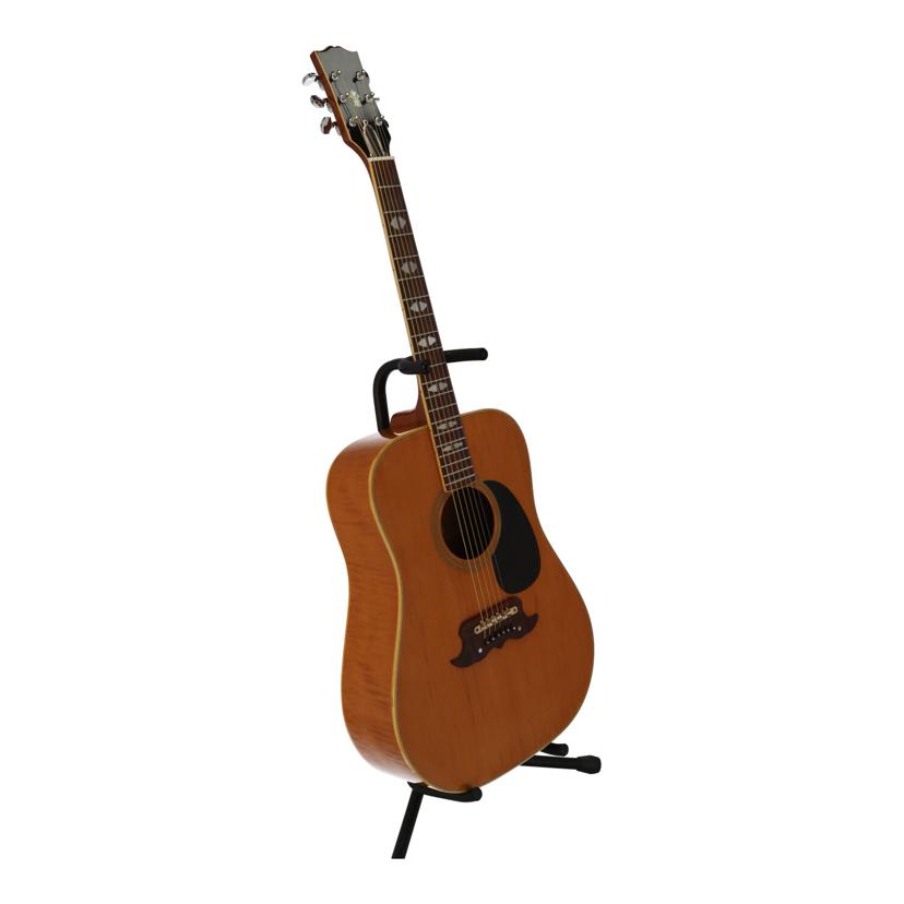 Thumb  サム 寺田楽器/アコースティックギター/W-250//710074/Cランク/70