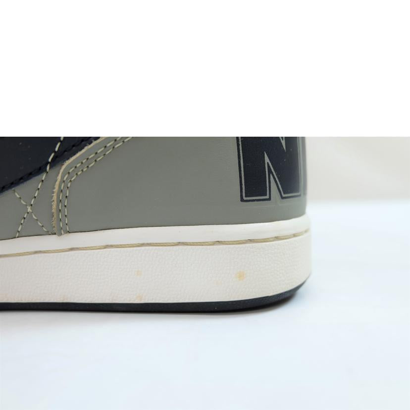 NIKE ナイキ/NIKE ターミネーターハイ/307147-041//Cランク/71