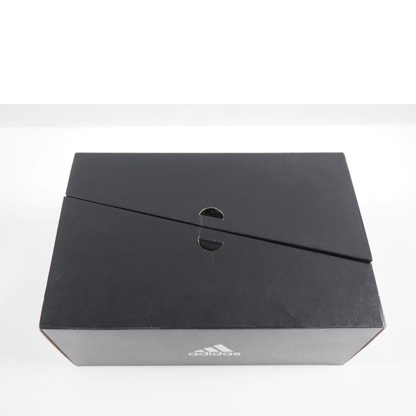 adidas アディダス/ULTRABOOST PB/FV8366//Sランク/79
