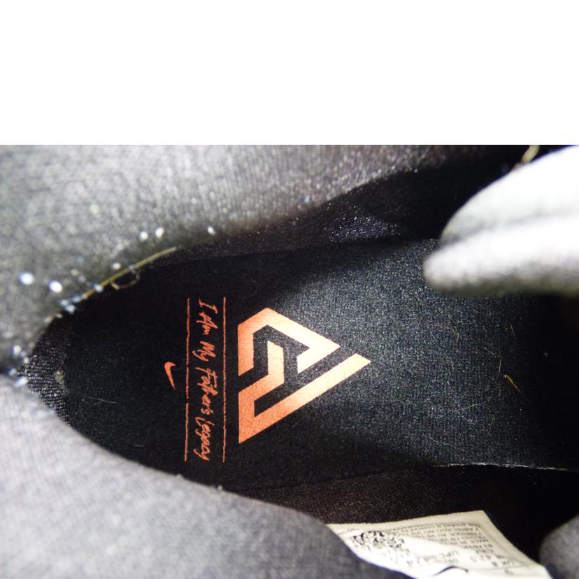 NIKE ナイキ/ZOOM FREAK2/CK5424-101//Aランク/64