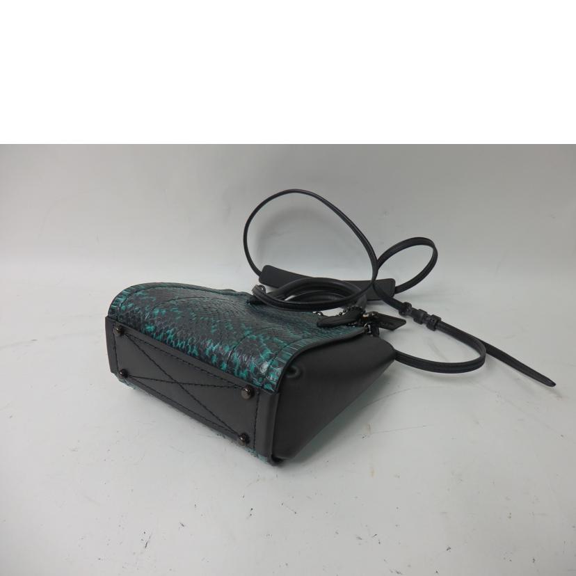 COACH コーチ/トループトート16/スネークスキン2wayミニバッグ/79295//A2080/SAランク/84