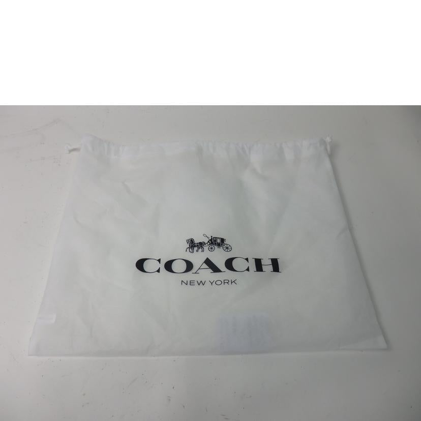 COACH コーチ/ジャン ミシェル・バスキアコラボ/ショルダーバッグ/C5653//F2181/Aランク/84