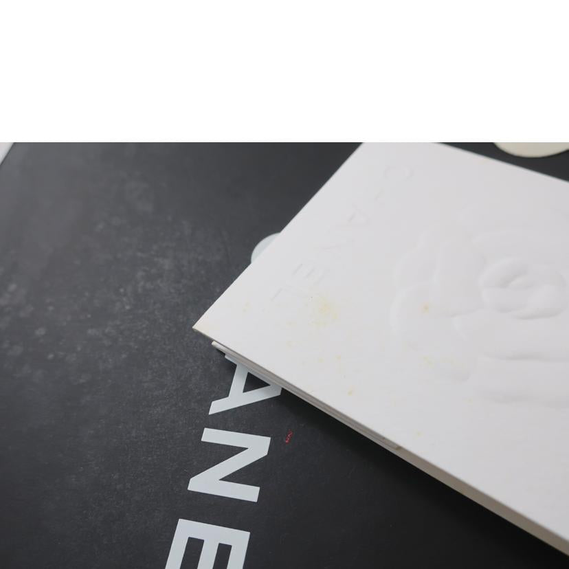 CHANEL シャネル/ボーイシャネルチェーンショルダー 斜め掛け ハンド パステルカラー/A67086//25587928/ABランク/65