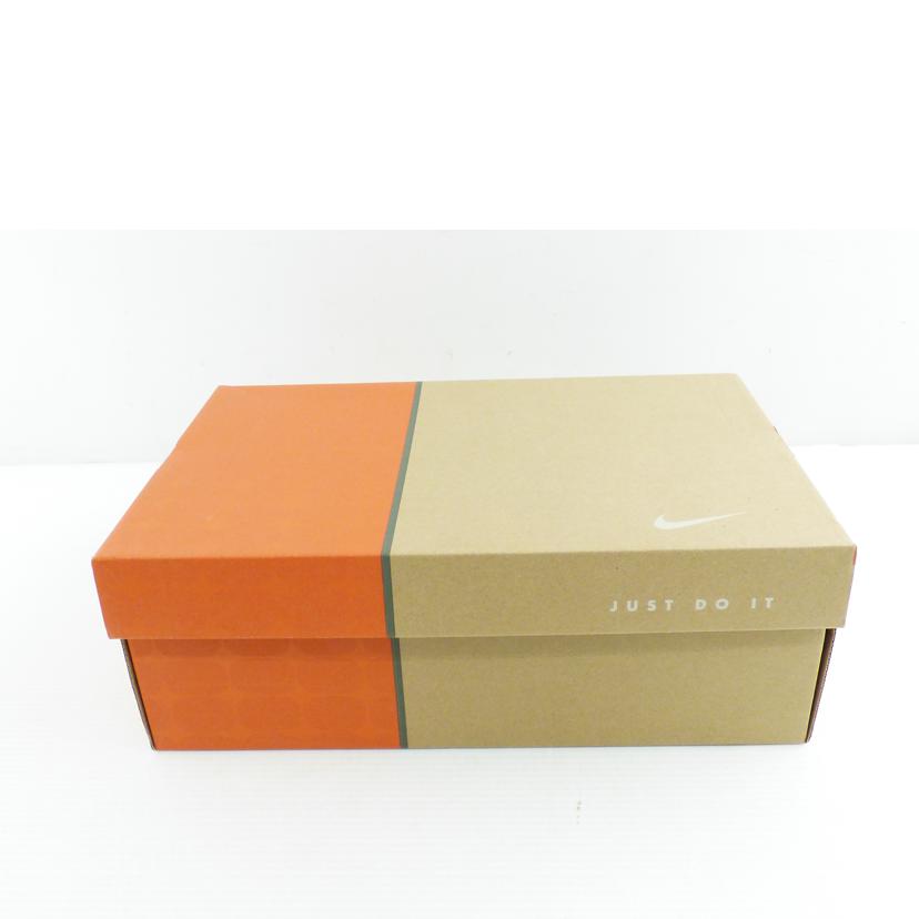 NIKE ナイキ/AIRFORCE1LOWレトロ Color of the Month/DJ3911-101//Aランク/64