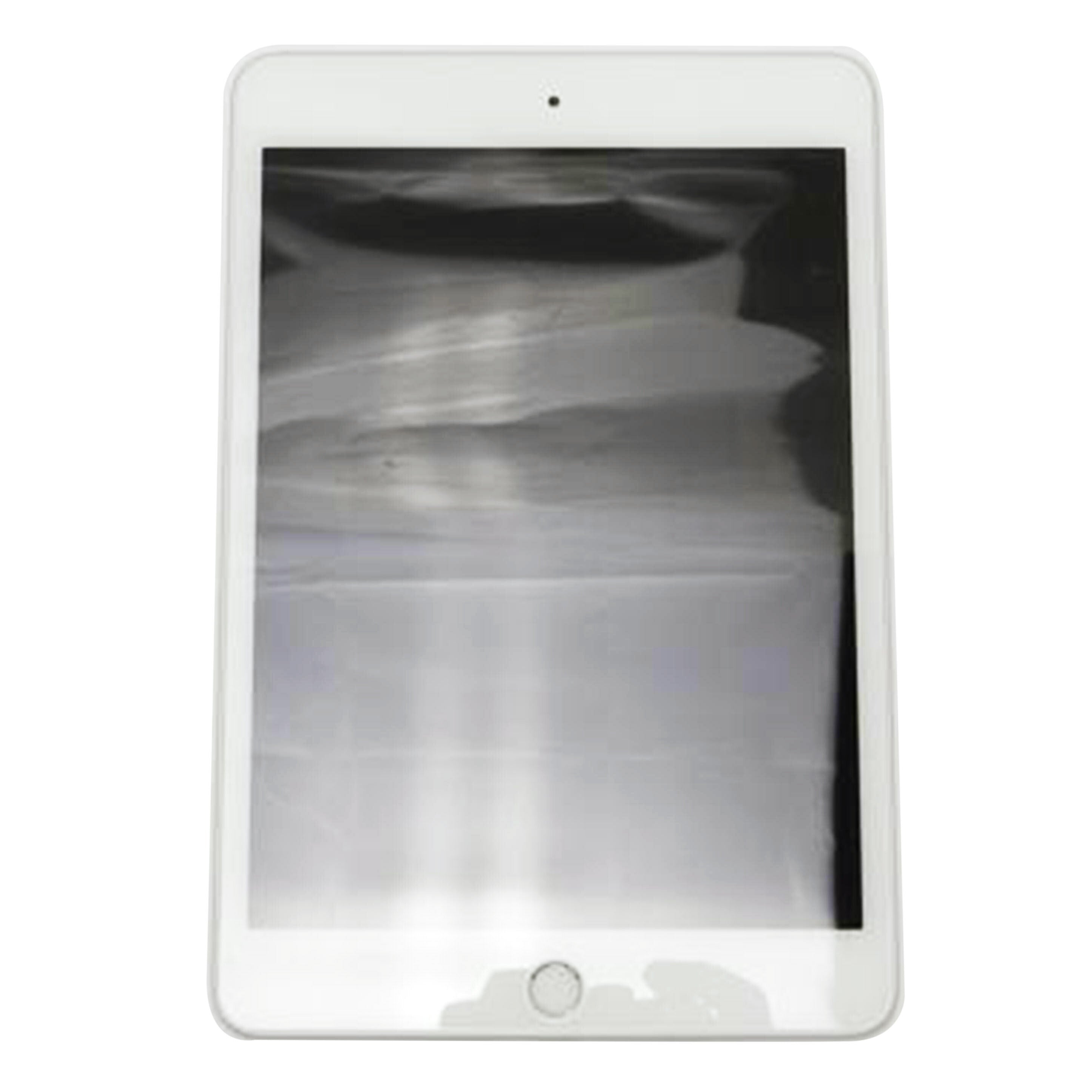 Apple アップル/iPad mini 第5世代 Wi-Fiモデル/MUQX2J/A//DMPYXMUSLM94/Aランク/69