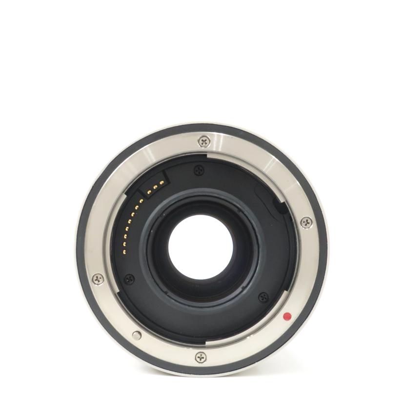 Canon キャノン/テレコンバーター/EXTENDR EF 2X Ⅱ//100993./Aランク/65