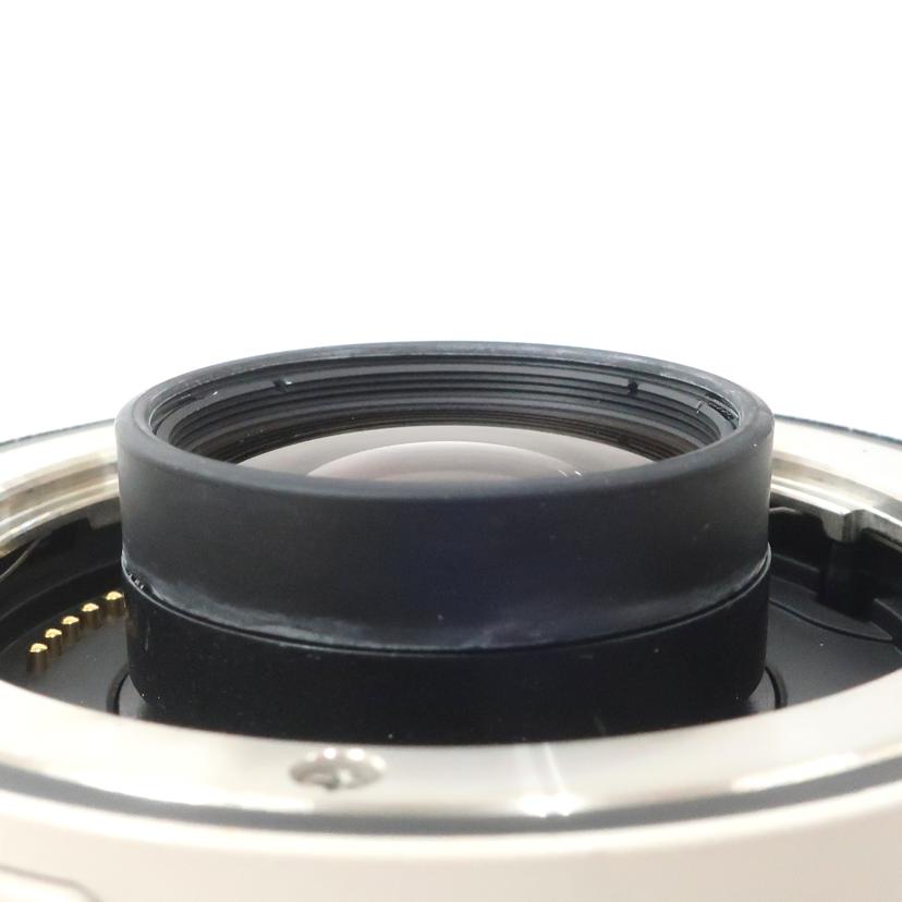 Canon キャノン/テレコンバーター/EXTENDR EF 2X Ⅱ//100993./Aランク/65