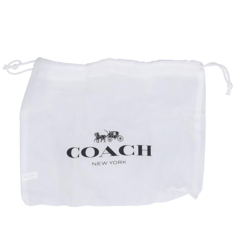 COACH コーチ/ノースサウス ハイブリッドシグネチャーポーチ/C3203//A21**/ABランク/05