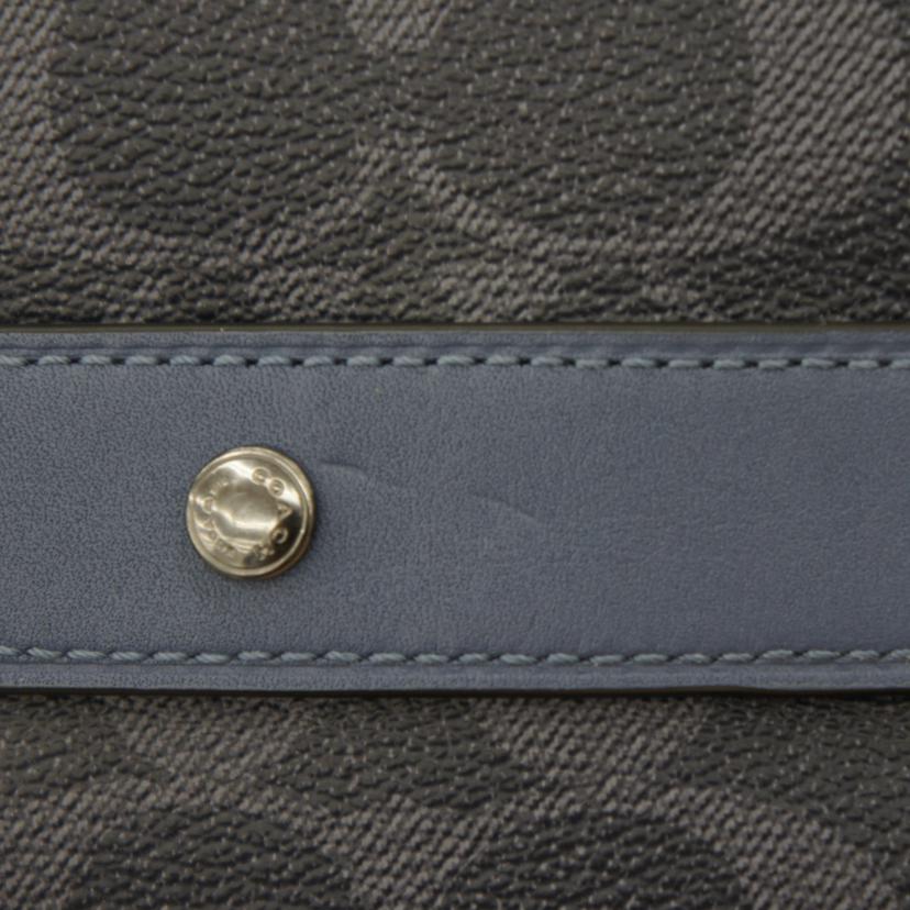 COACH コーチ/ノースサウス ハイブリッドシグネチャーポーチ/C3203//A21**/ABランク/05