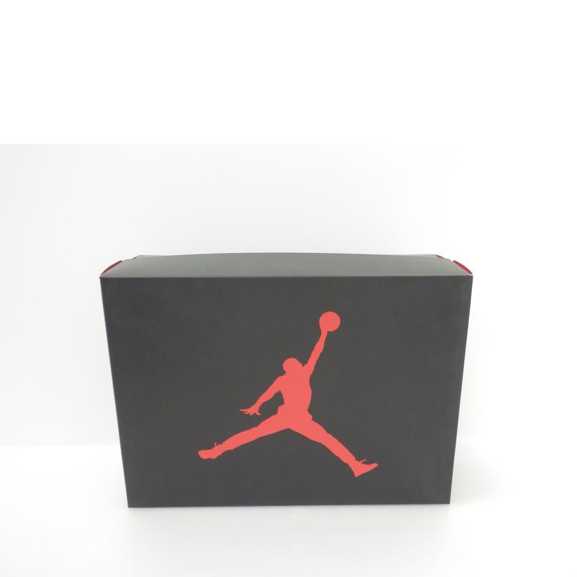 NIKE ナイキ/エアジョーダン3レトロOG/28.0cm/854262-001//Bランク/88