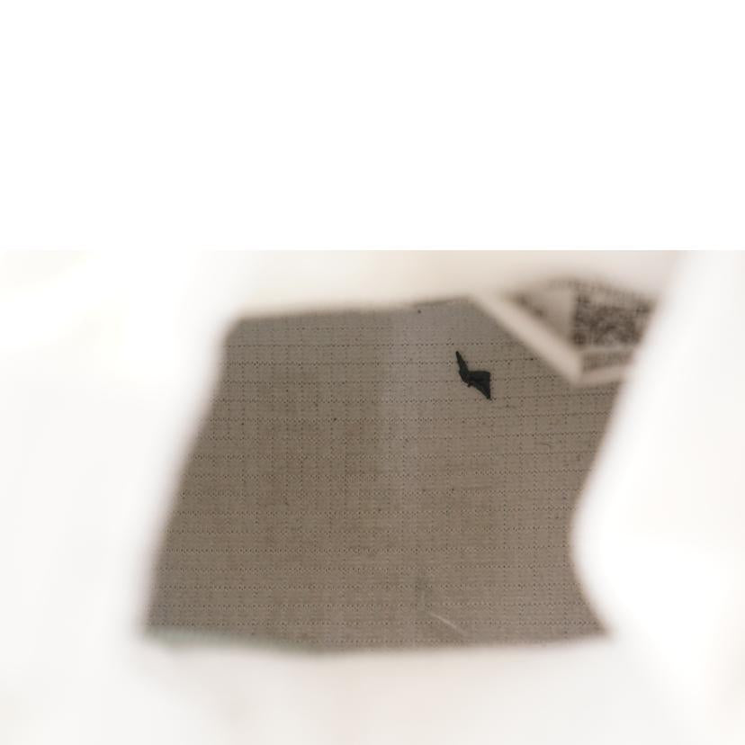 NIKE ナイキ/NIKE AIR FORCE 1 WTR GTX/CQ7211-002//ABランク/67