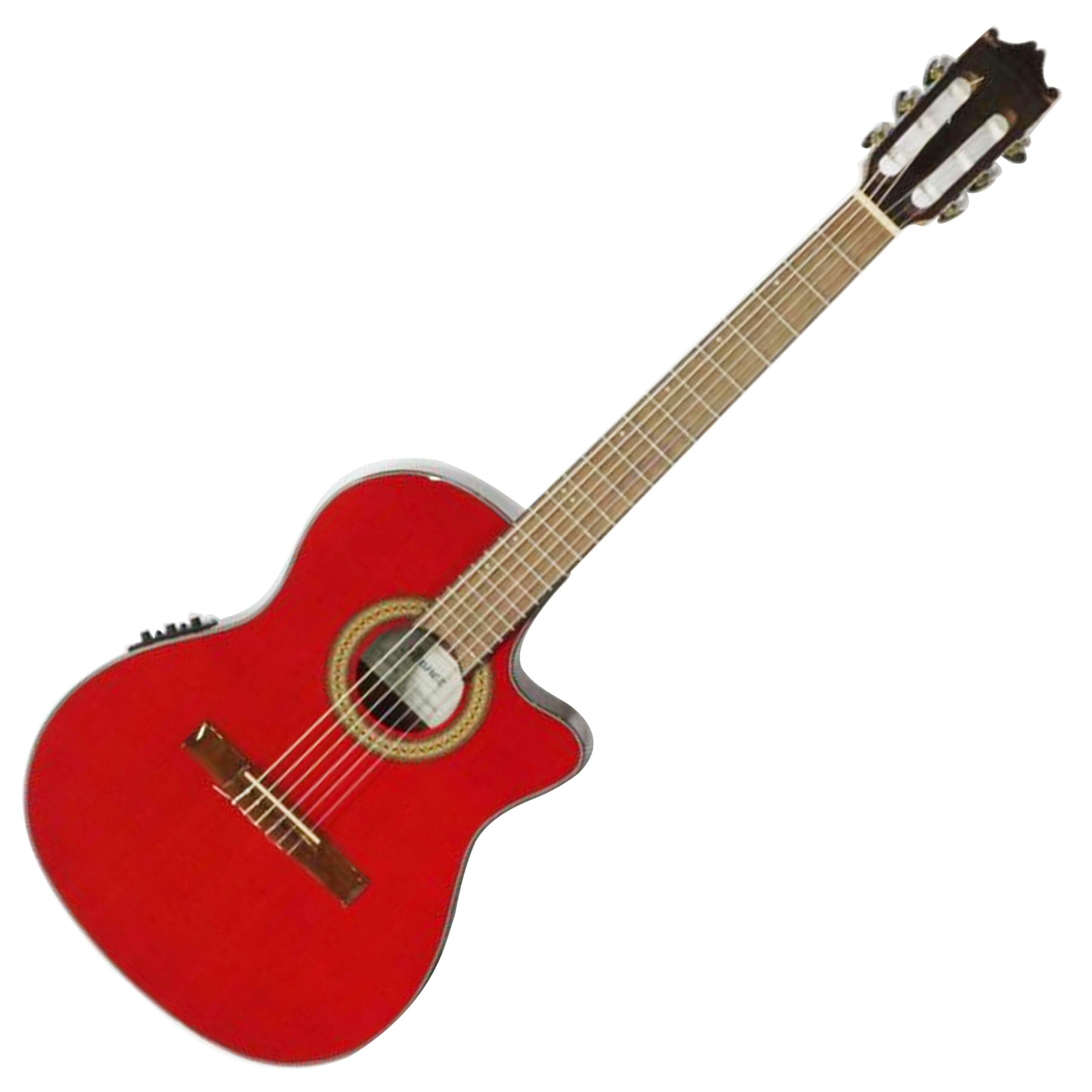 Ibanez アイバニーズ/アコースティックギター/GA30TCE-TRD//5807PW210300061/Cランク/67