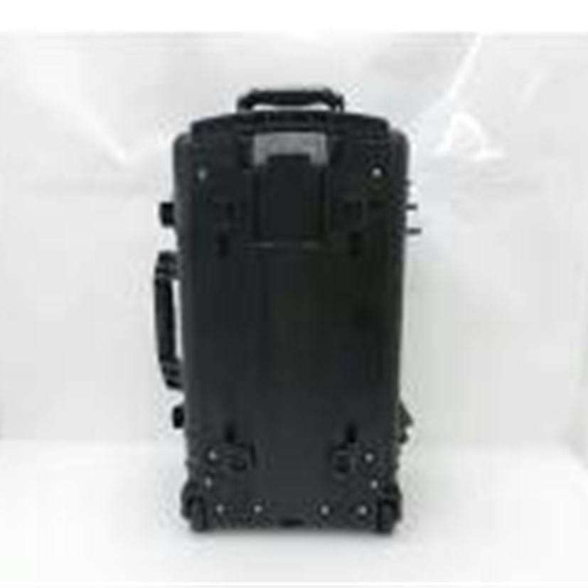 PELICAN ペリカン/PELICAN ハードケース//Aランク/69