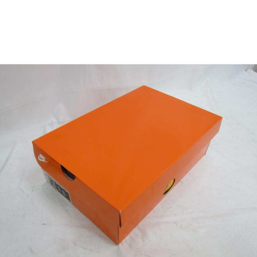 NIKE/NIKE ZOOM TERRA KIGER5/DC8179-300//SAランク/82