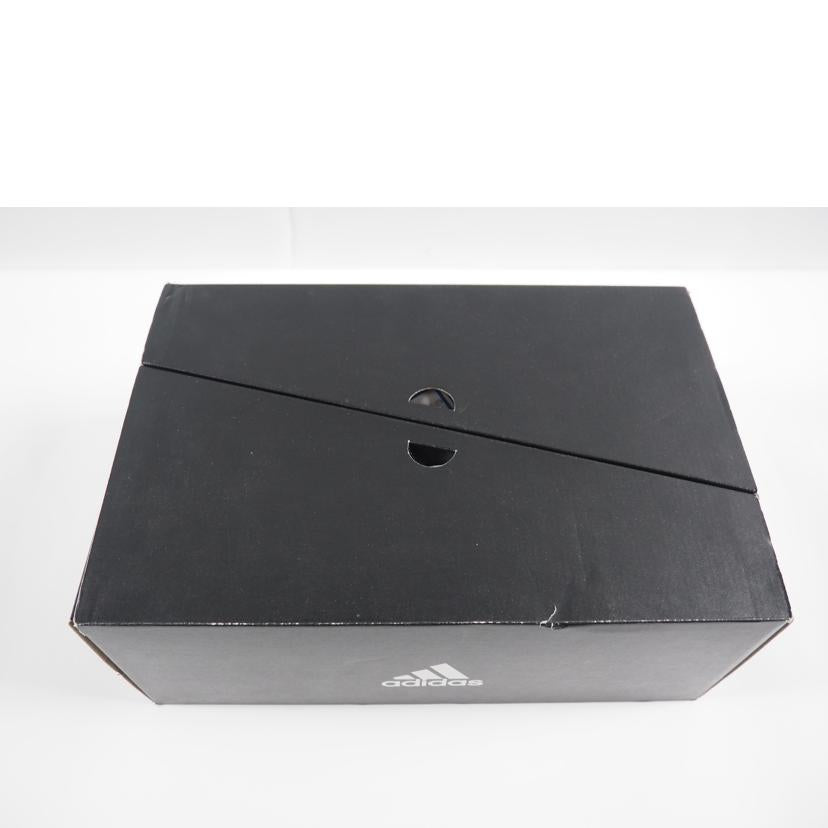 adidas アディダス/ULTRABOOST PB/FV8366//SAランク/79