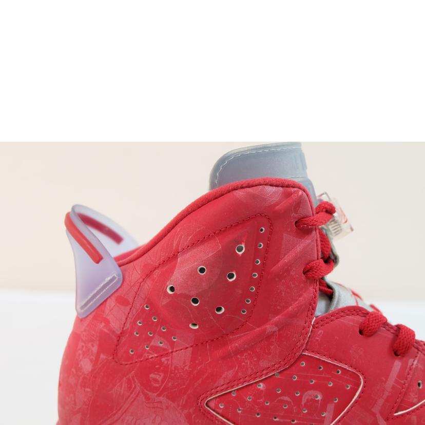 NIKE ナイキ/NIKE AIR JORDAN 6 RETRO X SLAM DUNK/717302-600//Cランク/71