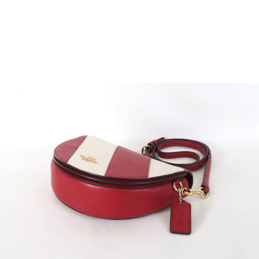 COACH コーチ/レザーミニショルダー/C1429//Aランク/81