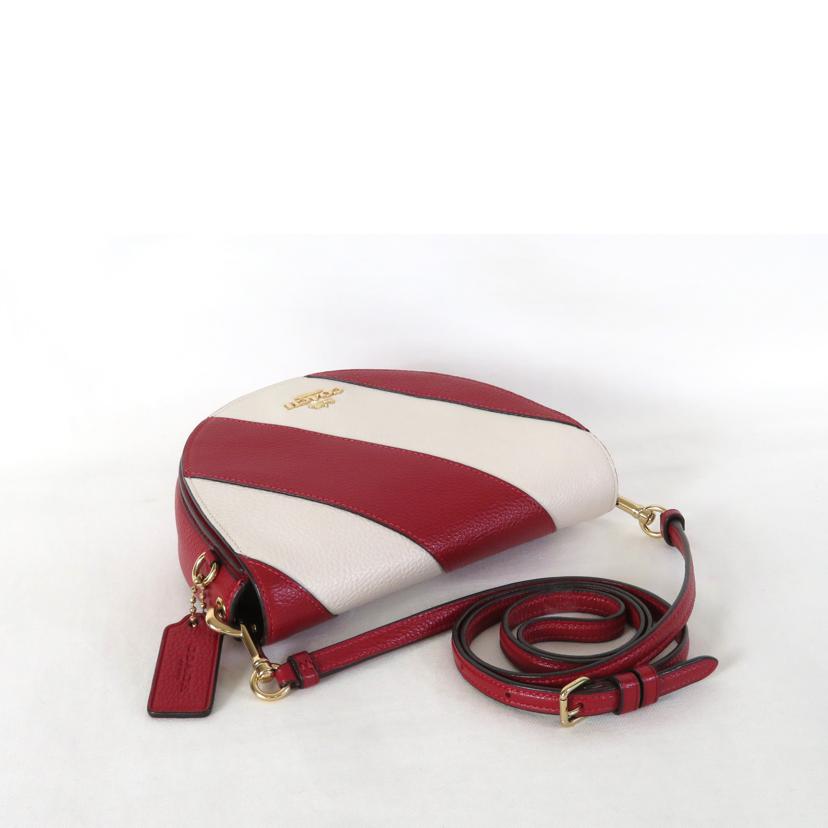 COACH コーチ/レザーミニショルダー/C1429//Aランク/81