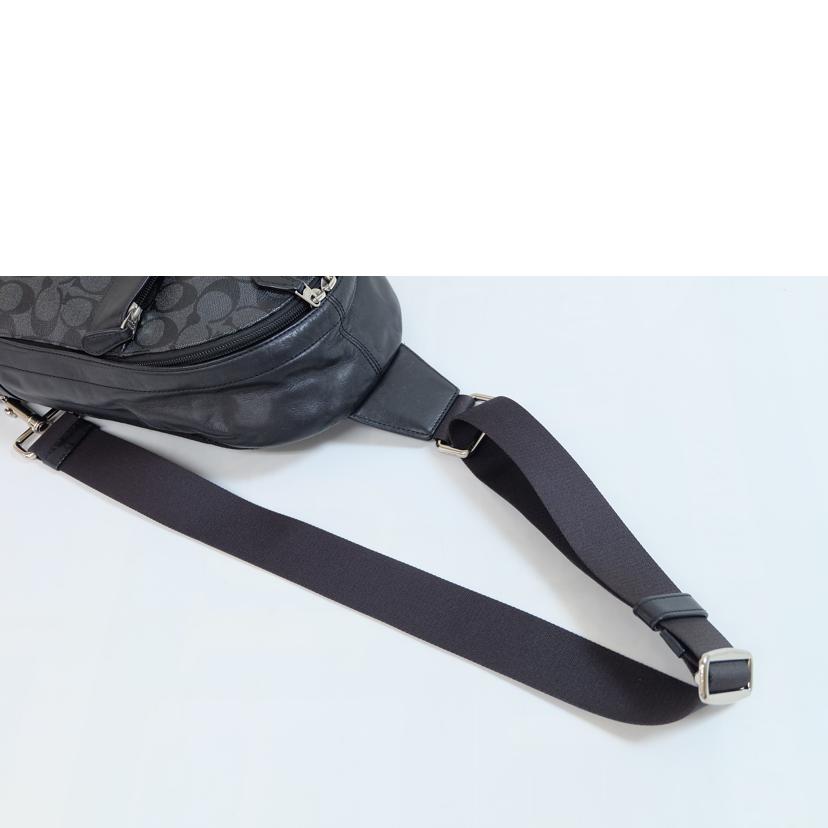 COACH コーチ/シグネチャーメッセンジャークロスボディ/F54787//A1857/Bランク/71