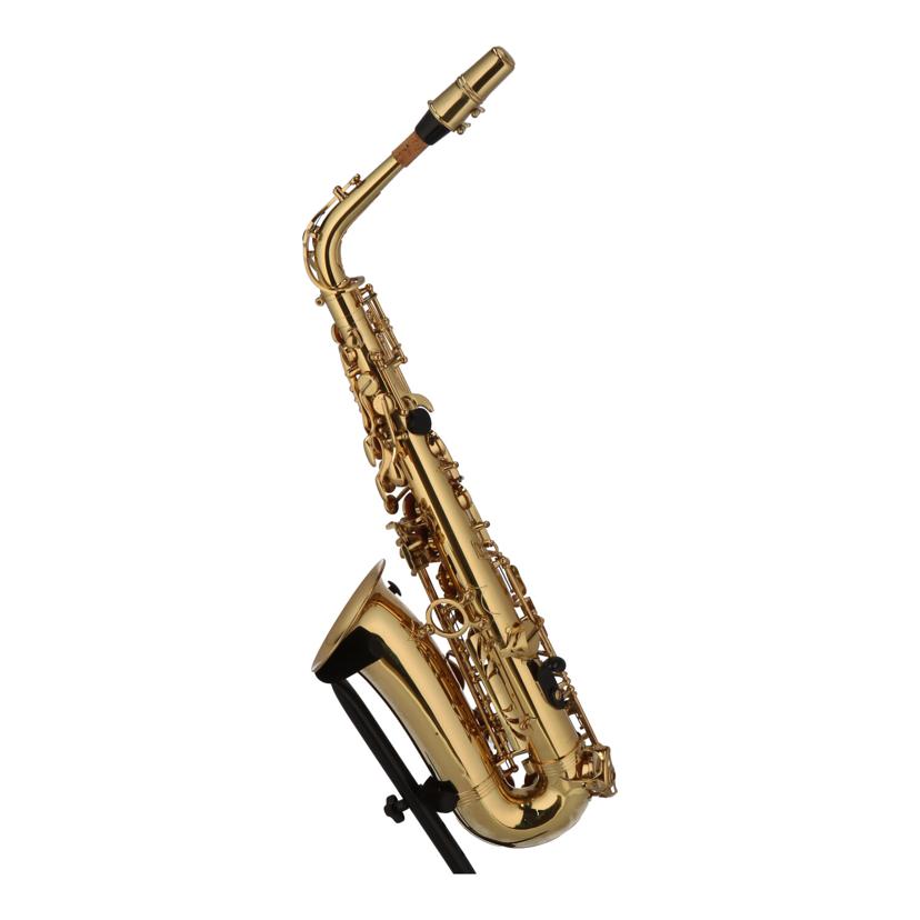 Trevor James トレバージェイムス/アルトサックス/Revolution//D2079/Bランク/71