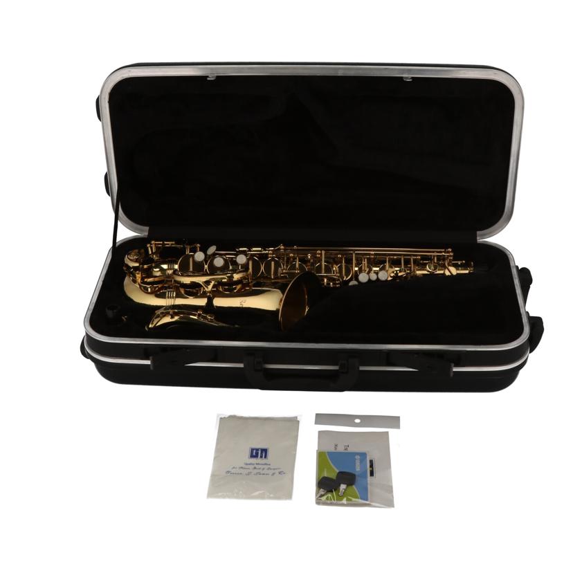 Trevor James トレバージェイムス/アルトサックス/Revolution//D2079/Bランク/71