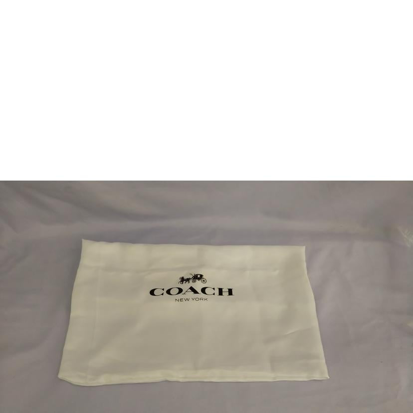 COACH コーチ/レザーシグネチャー ブルックリン クロスボディショルダーバック /C6080//G2122/SAランク/07