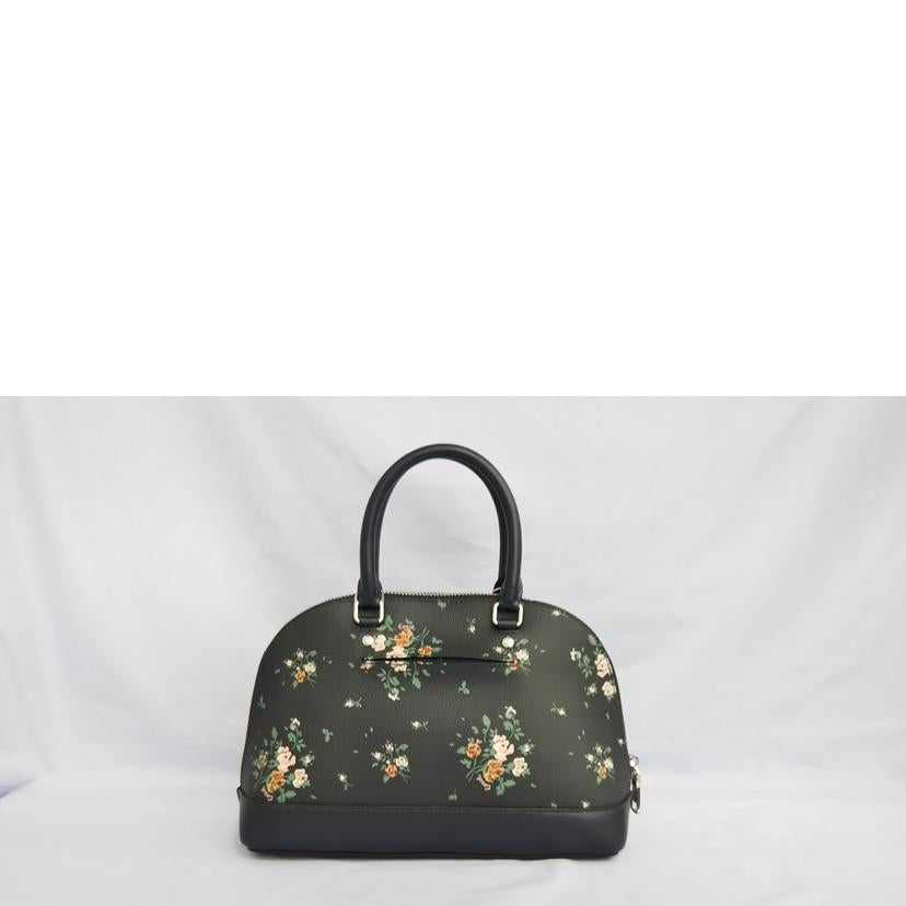 COACH コーチ/チョークマルチ ローズブーケプリント 2WAYバッグ/91430//M1978/ABランク/07
