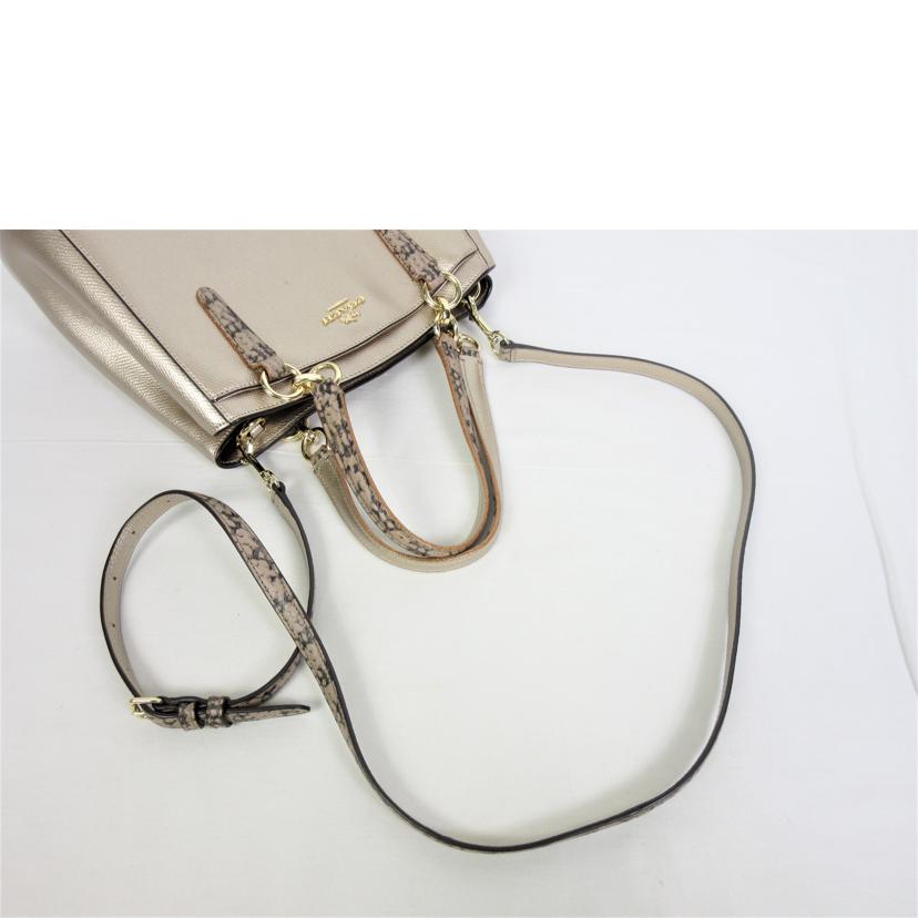 COACH コーチ/ミネッタクロスボディ メタリックアンドエキゾチック/F55517//G16**/ABランク/70