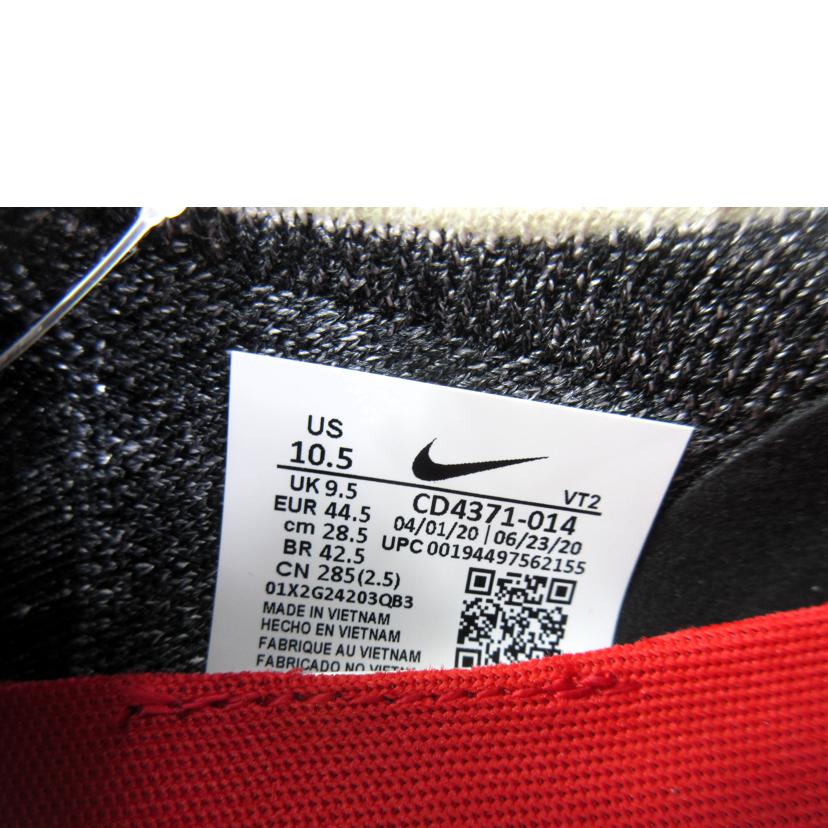 NIKE/REACT INFINITY RUN FLYKNIT/CD4371-014//ABランク/70