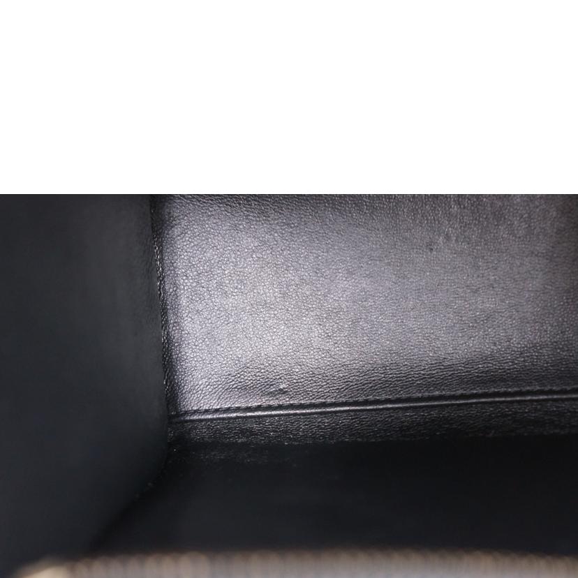 CELINE セリーヌ/ラゲージ ナノショッパー//S-GU-3184/ABランク/67