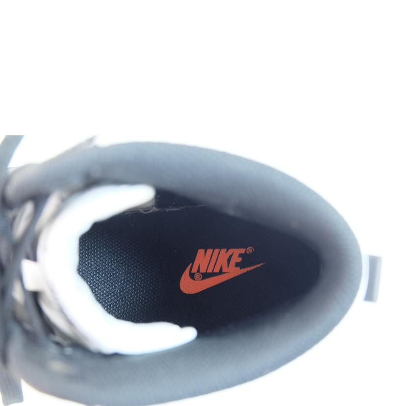 NIKE ナイキ/NIKE ダンク HI /DD1399-105//Cランク/71