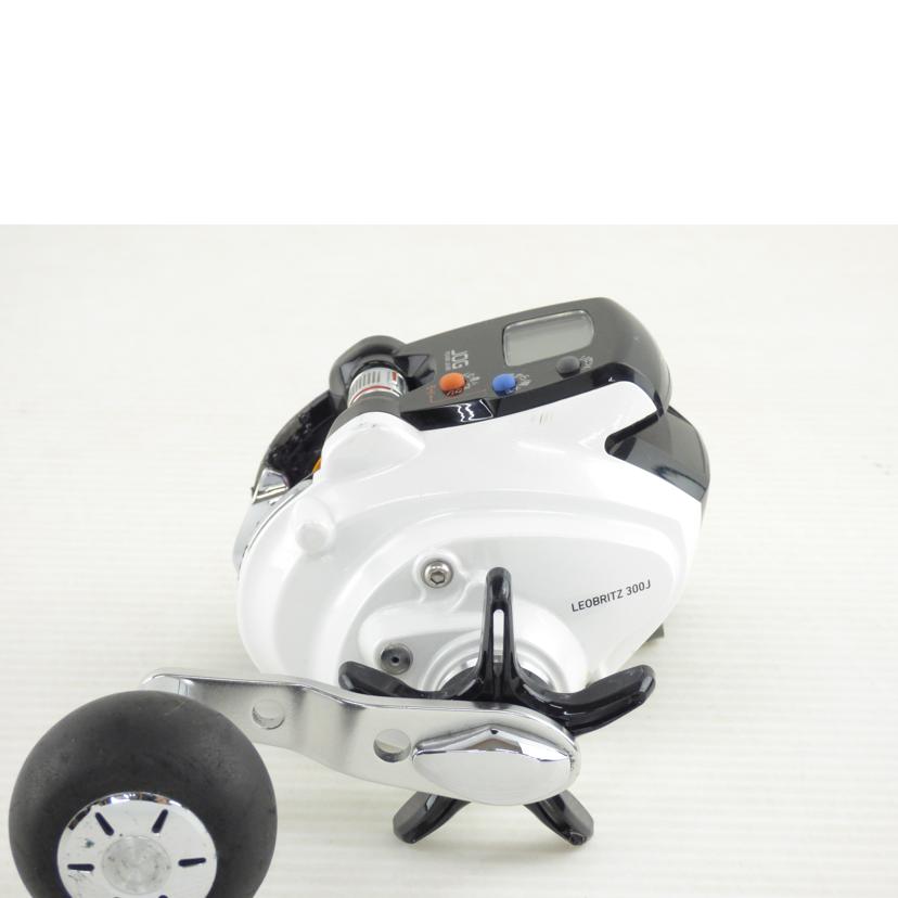 DAIWA ダイワ/LEOBRITZ 300J/801456//Cランク/64