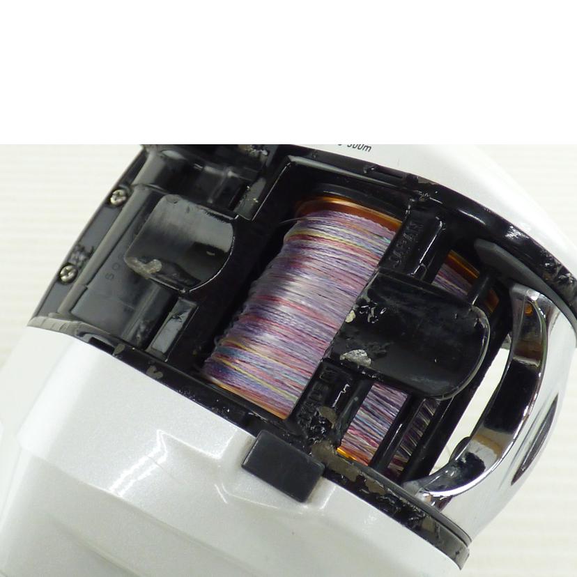 DAIWA ダイワ/LEOBRITZ 300J/801456//Cランク/64