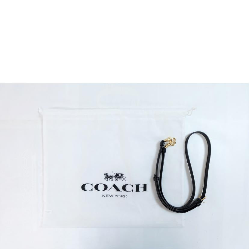 COACH コーチ/シグネチャー2WAYショルダー/CA548//B2354/Aランク/71