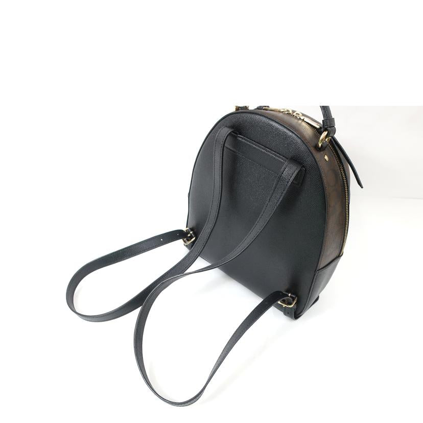 COACH コーチ/シグネチャー リュックサック レザー/F76622//ABランク/65
