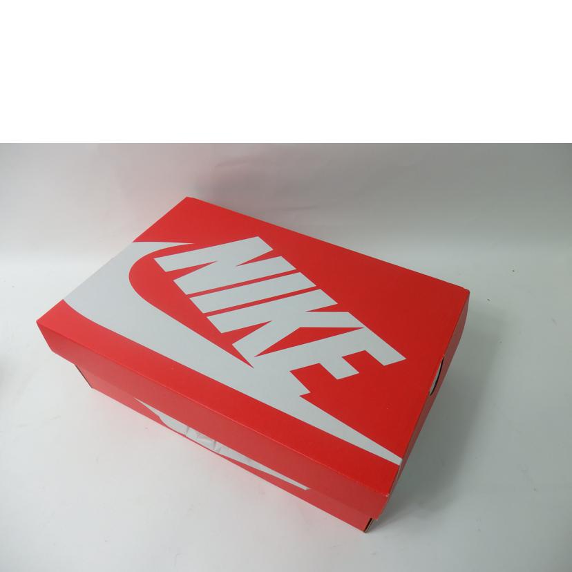 NIKE ナイキ/DUNK LOW RETRO/29cm/DD1391-100//Aランク/84