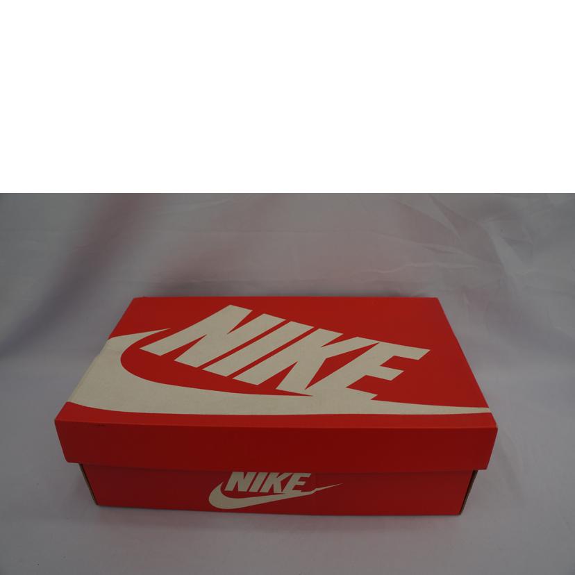 NIKE ナイキ/エアマックス95 WHT/GRY/CT1268 001//SAランク/07